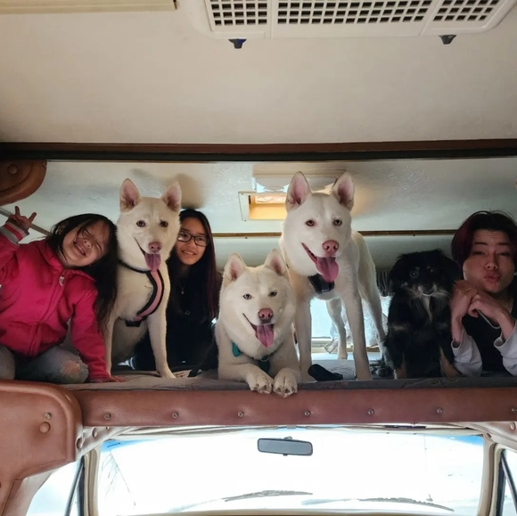 Our Crazy Life at a Glance - Picture 5 of 16